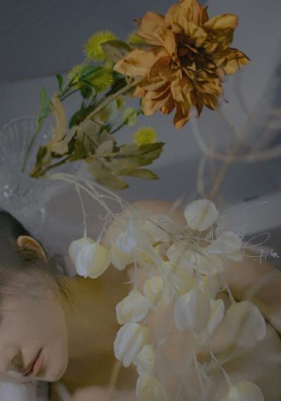 欧美夜夜情_1080P手机免费观看完整